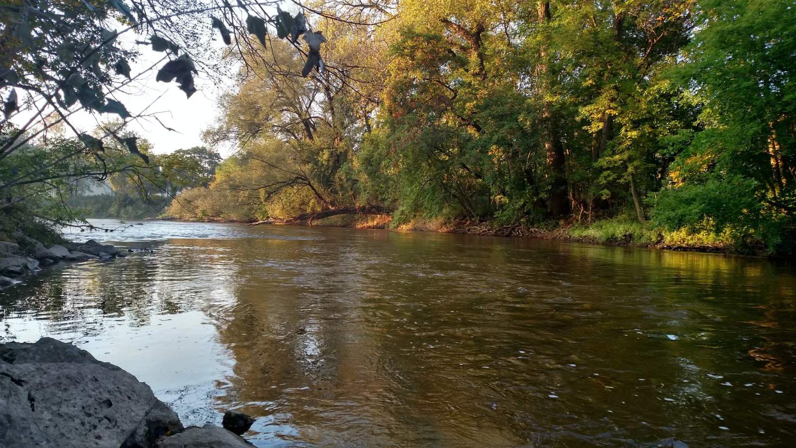 Esslingen Park/Canoe Launch — photo 1