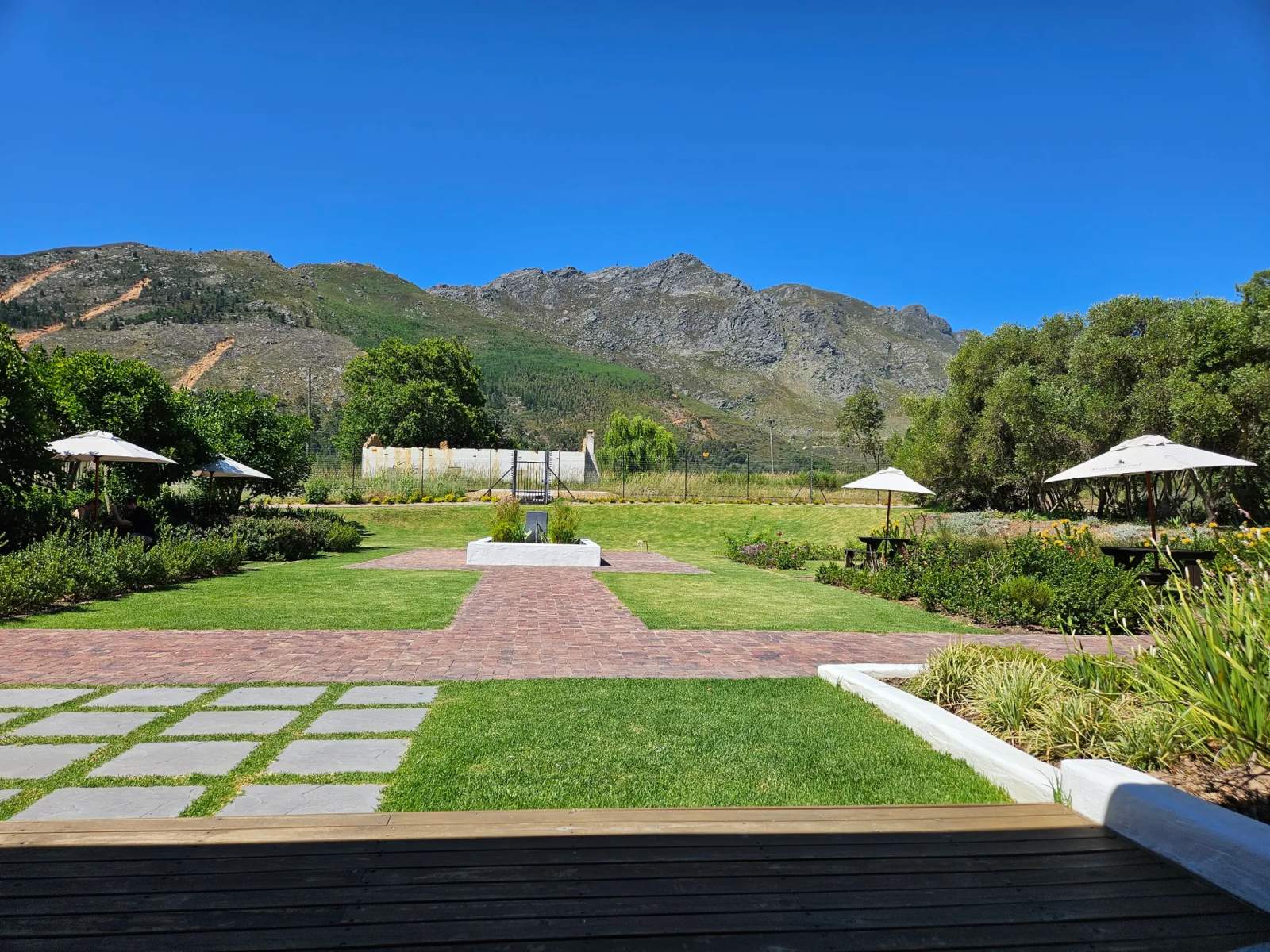 Klein Goederust Wine Farm — photo 2