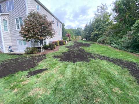 LT Landscaping Inc. — photo 2