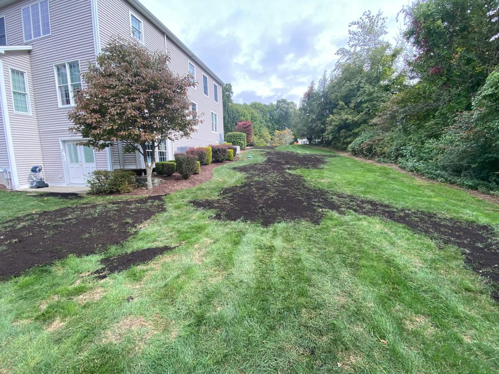 LT Landscaping Inc. — photo 2