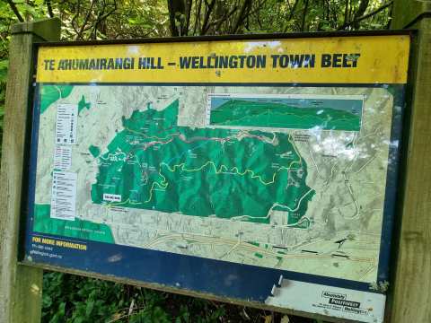 Wellington Town Belt Hikes — photo 2