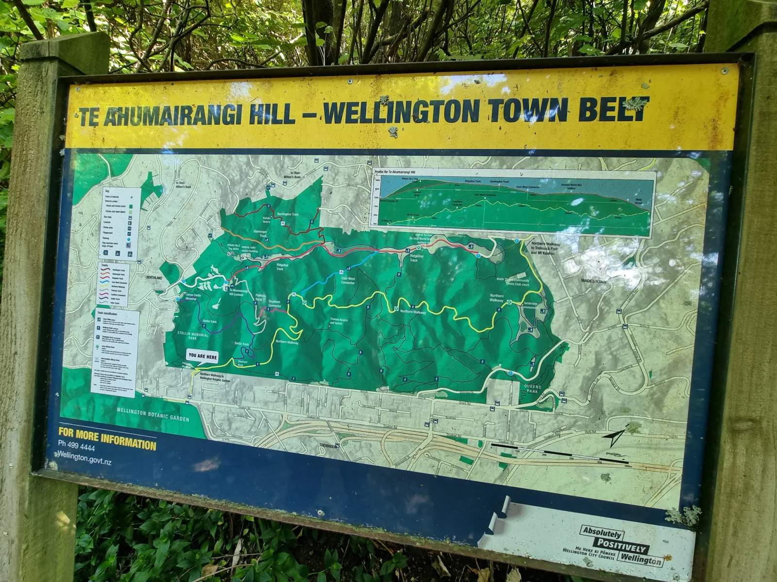 Wellington Town Belt Hikes — photo 2