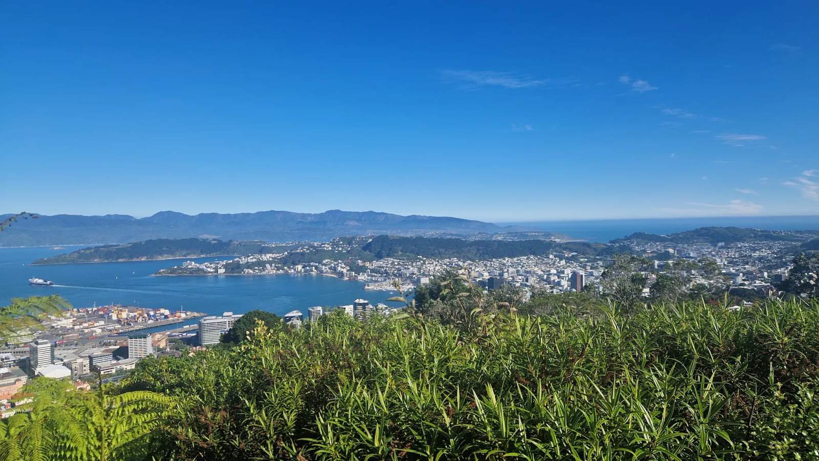 Wellington Town Belt Hikes — photo 1