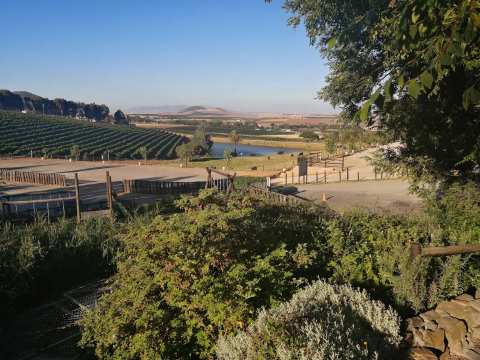 Signal Gun Wines — photo 3
