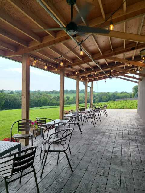 Bailey's Run Vineyard & Winery — photo 3