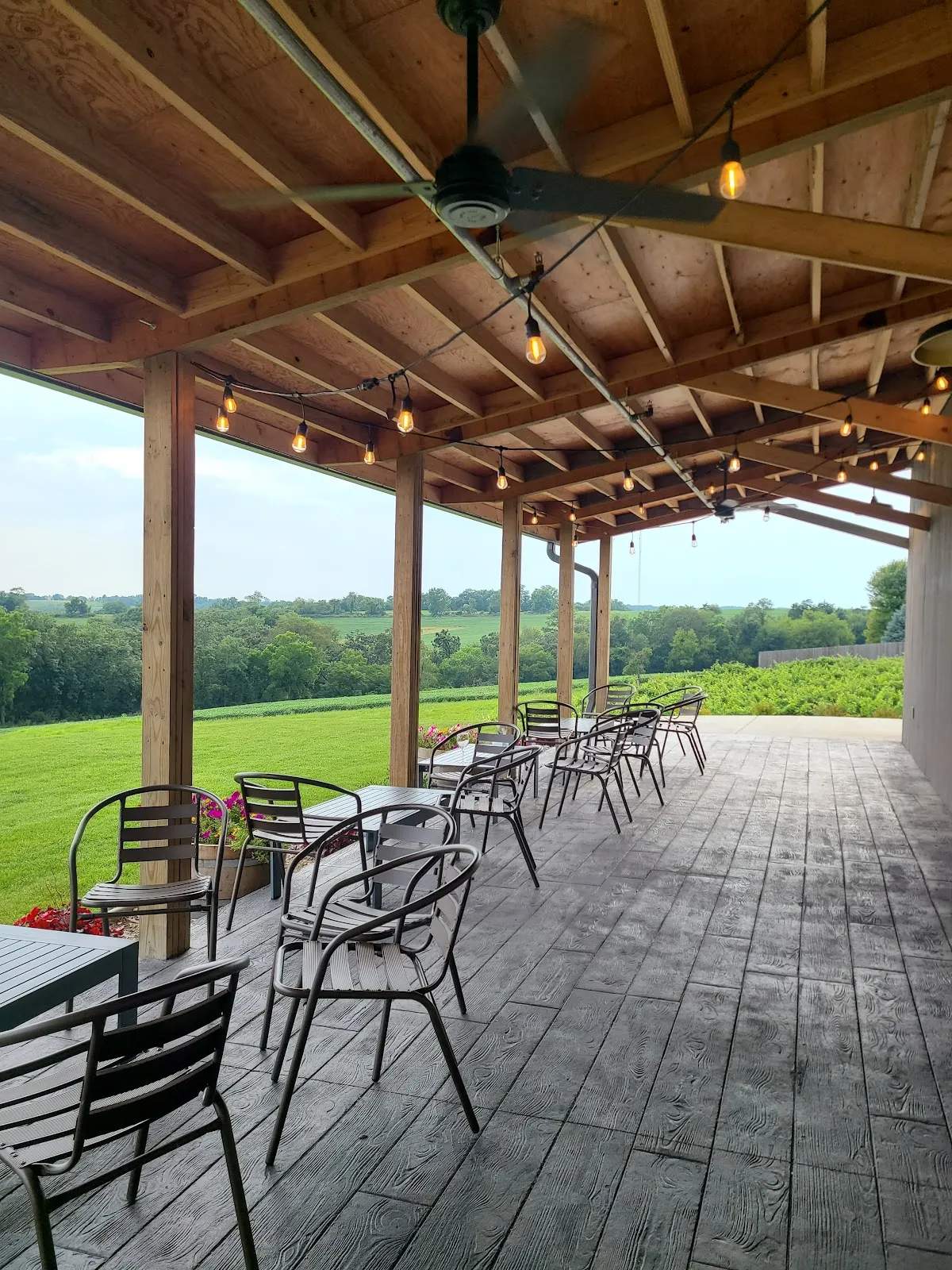 Bailey's Run Vineyard & Winery — photo 3
