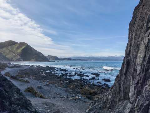 Red Rocks - Seals — photo 3