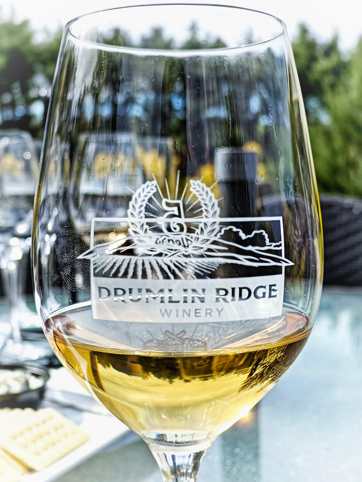 Drumlin Ridge Winery — photo 1