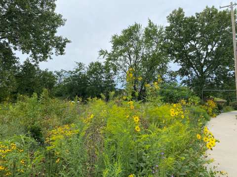 Restoring Lands (formerly River Revitalization Foundation) — photo 2