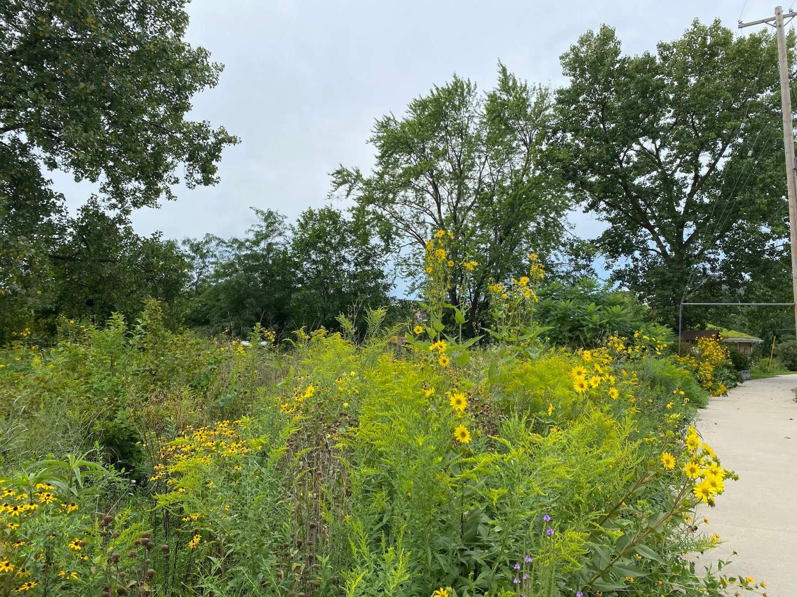 Restoring Lands (formerly River Revitalization Foundation) — photo 2