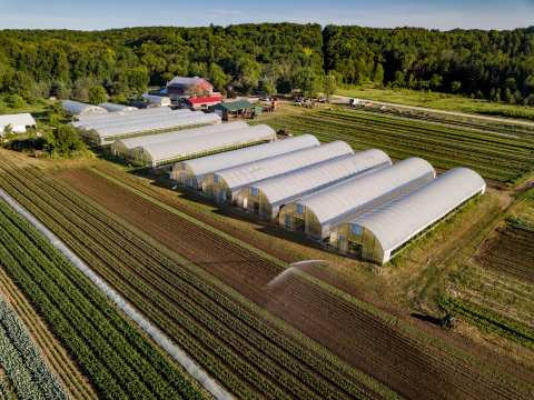 Springdale Farm — photo 2