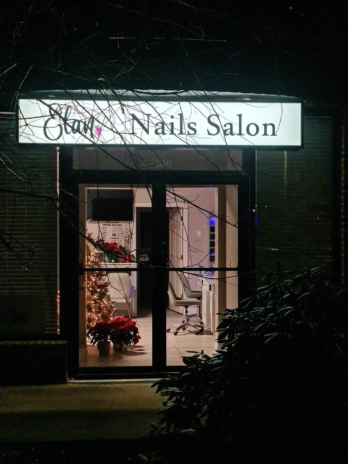 Elan Nails Salon — photo 1