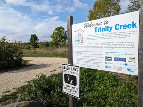 Trinity Creek Wetland Habitat — photo 2