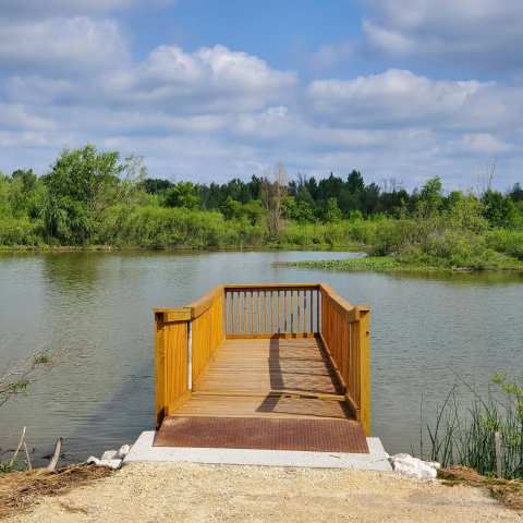 Trinity Creek Wetland Habitat — photo 3