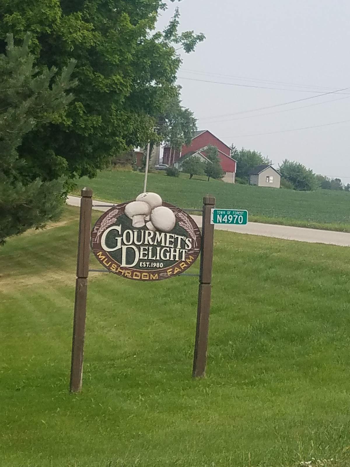 Gourmet's Delight Mushrooms — photo 2