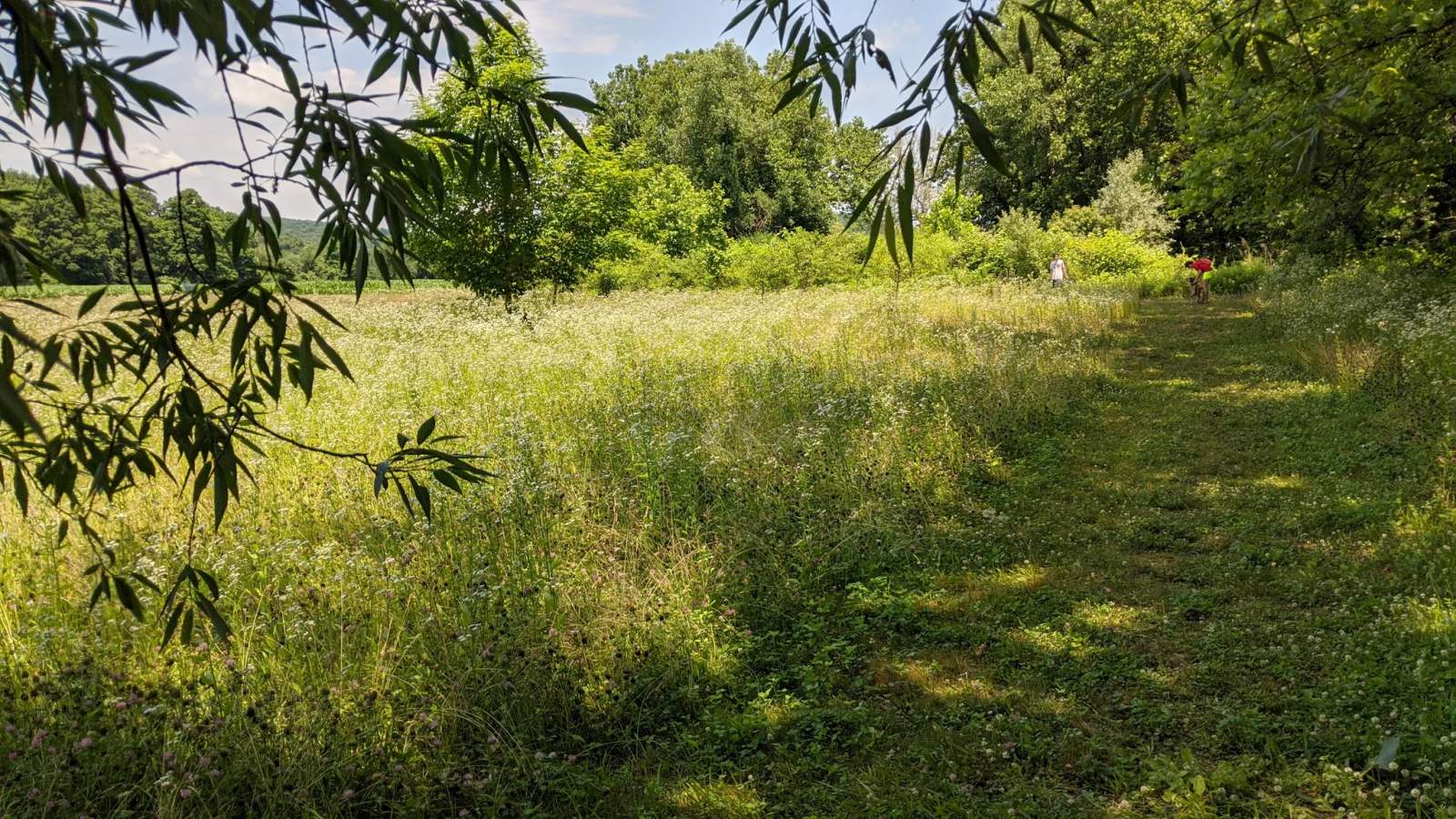 Strong Preserve — photo 1