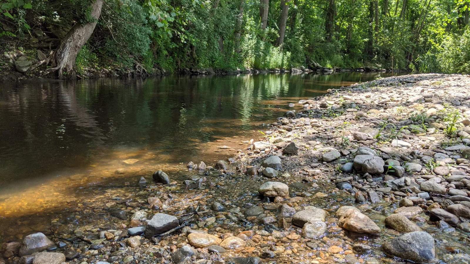 Strong Preserve — photo 2