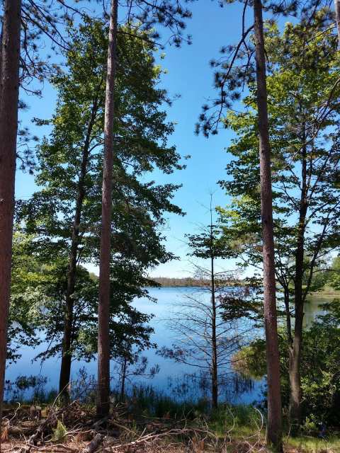 Wilson Lake County Park — photo 3