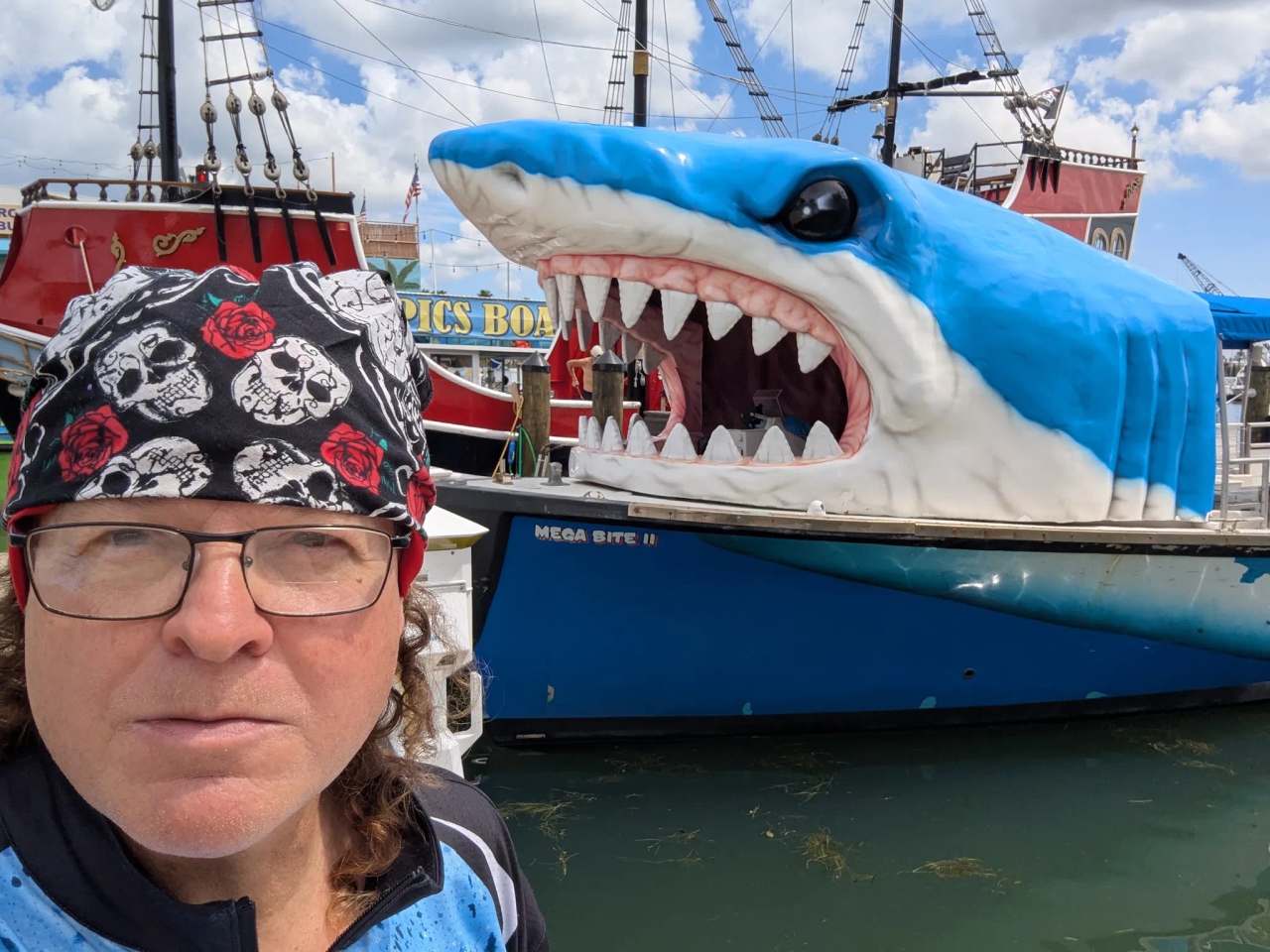 Mega Bite Dolphin Tours — photo 3
