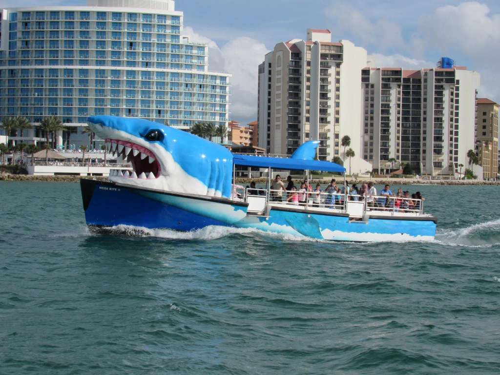 Mega Bite Dolphin Tours