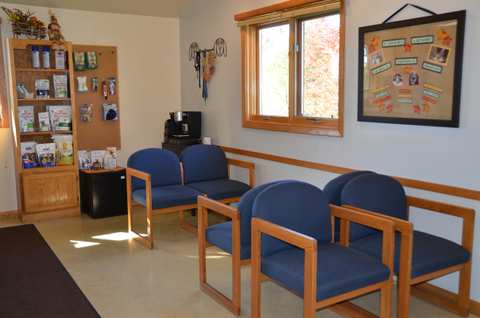 The Little Animal Hospital — photo 5