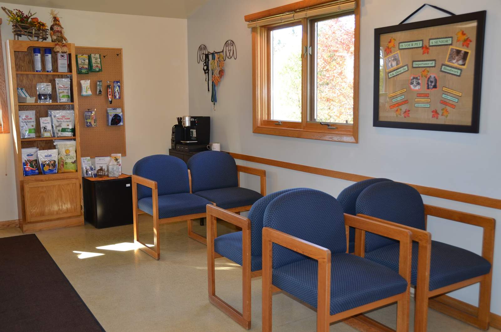 The Little Animal Hospital — photo 5