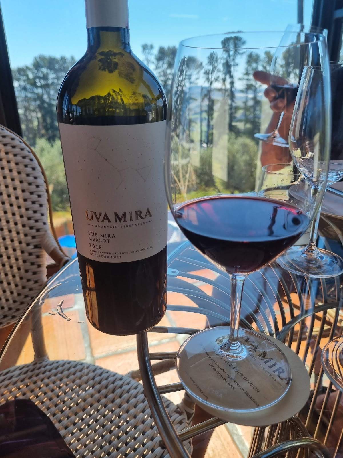 Uva Mira Tasting Room — photo 5