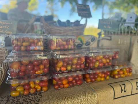Katikati Sunday Farmers Market — photo 2