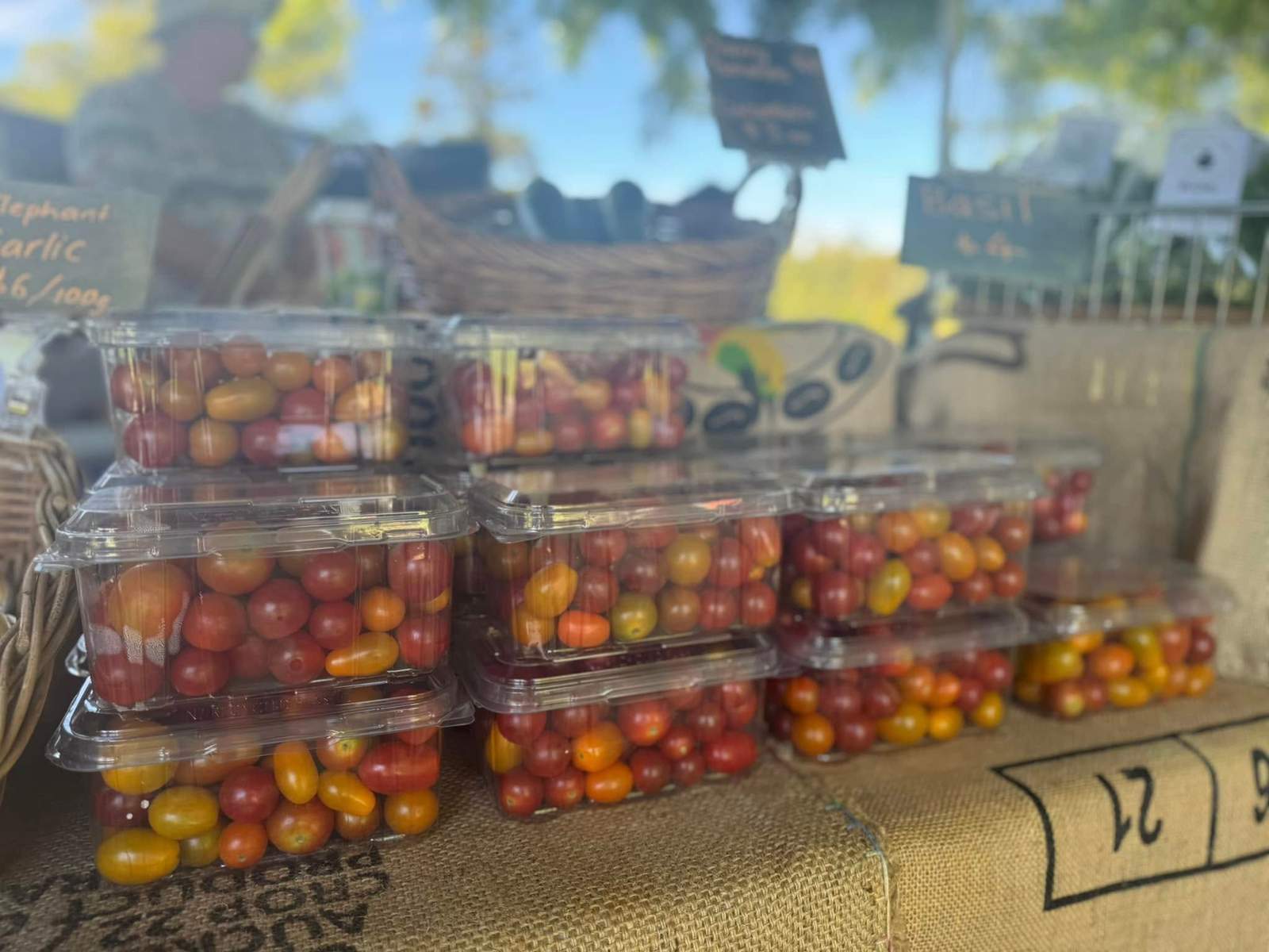 Katikati Sunday Farmers Market — photo 2
