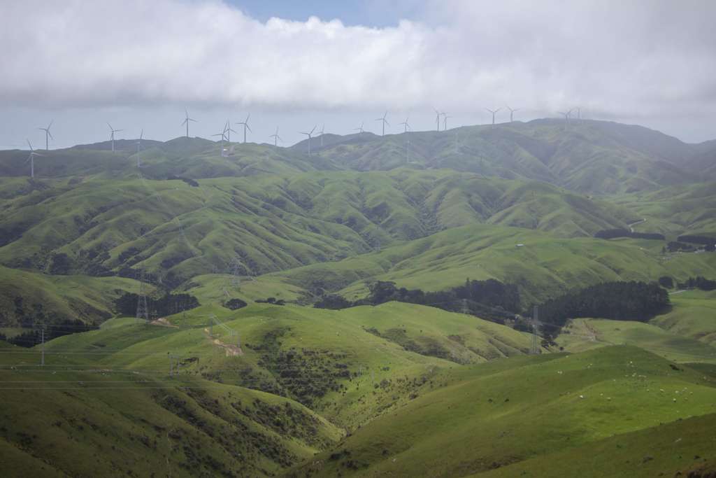 Skyline Walkway Trailhead - Makara Saddle