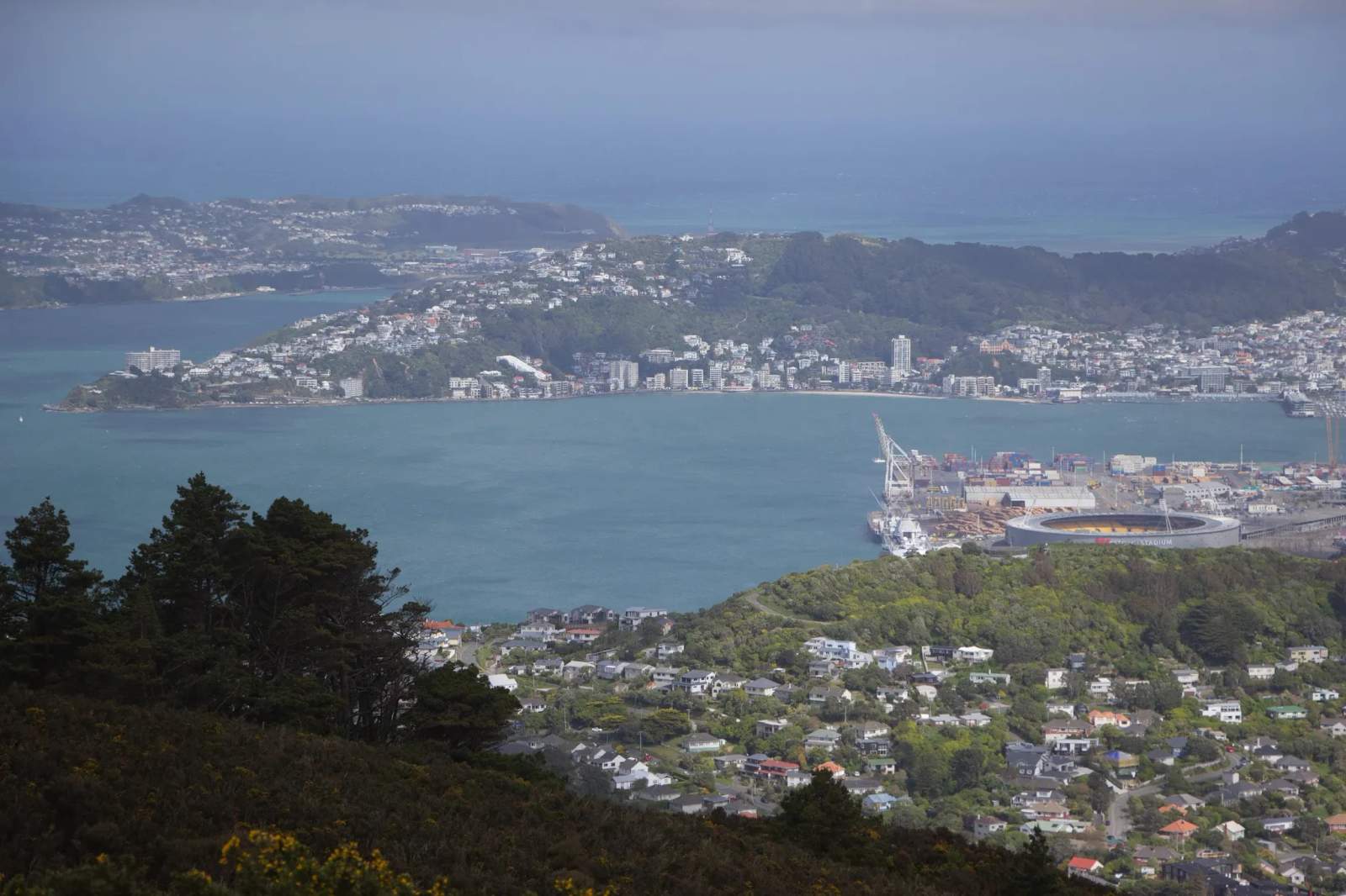 Skyline Walkway Trailhead - Makara Saddle — photo 2