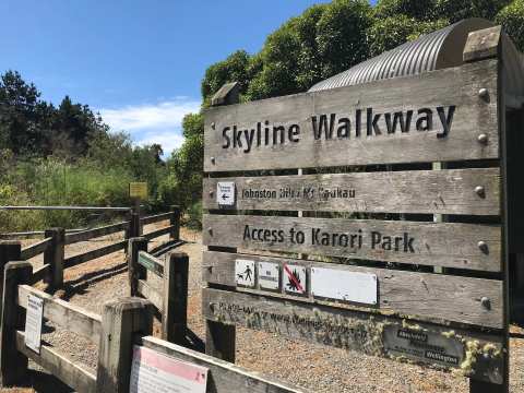 Skyline Walkway Trailhead - Makara Saddle — photo 3