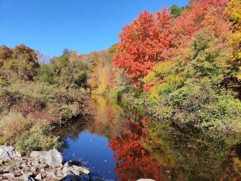 Hop Brook Lake — photo 3