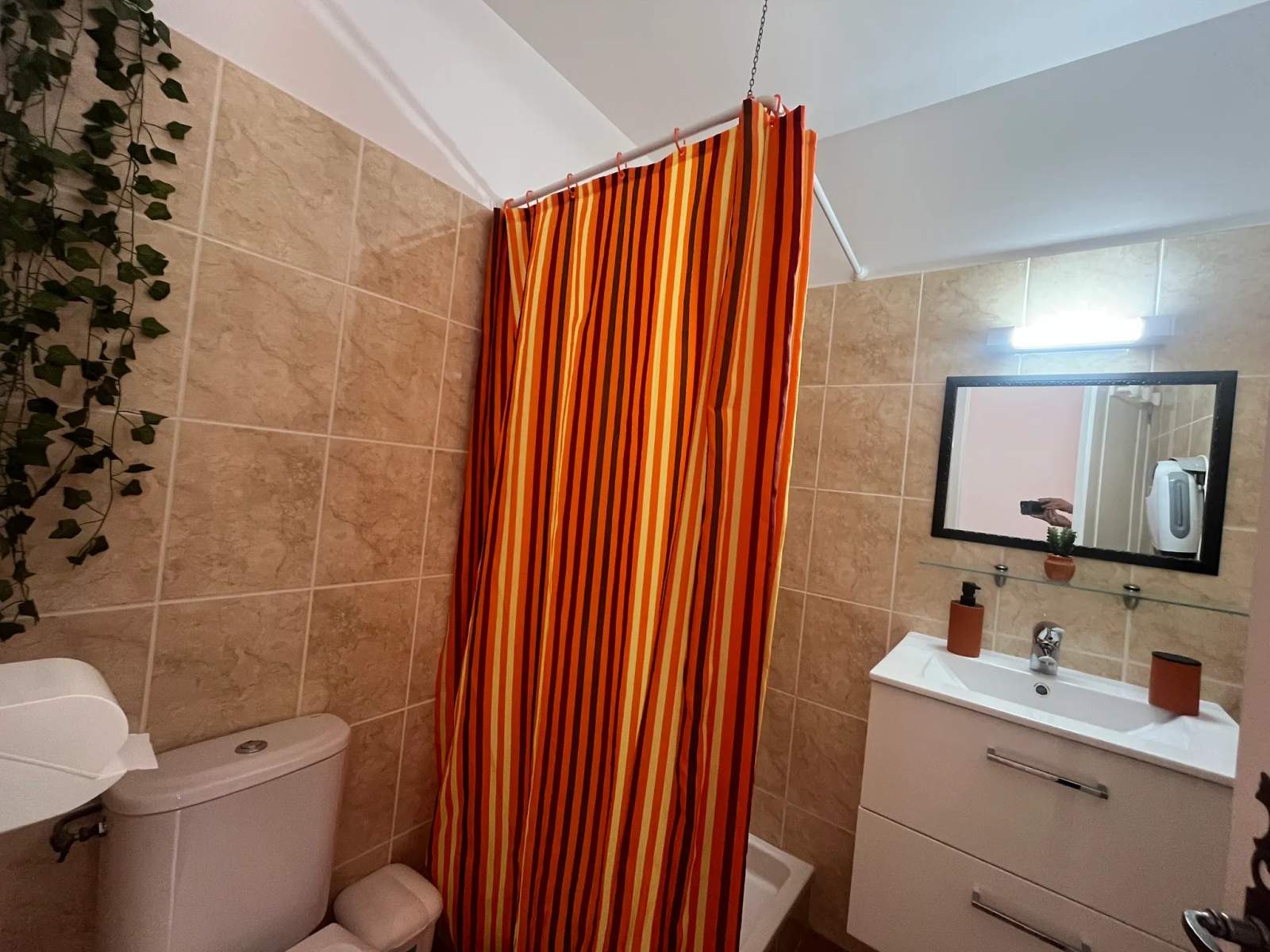 Chambres d'hôtes L'Olivette des Albères (à proximité de Collioure) — photo 3