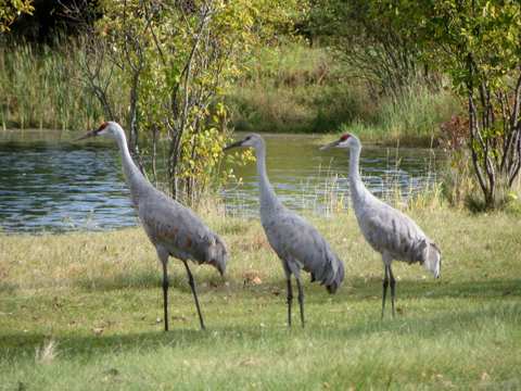 Washington County Family Park — photo 2