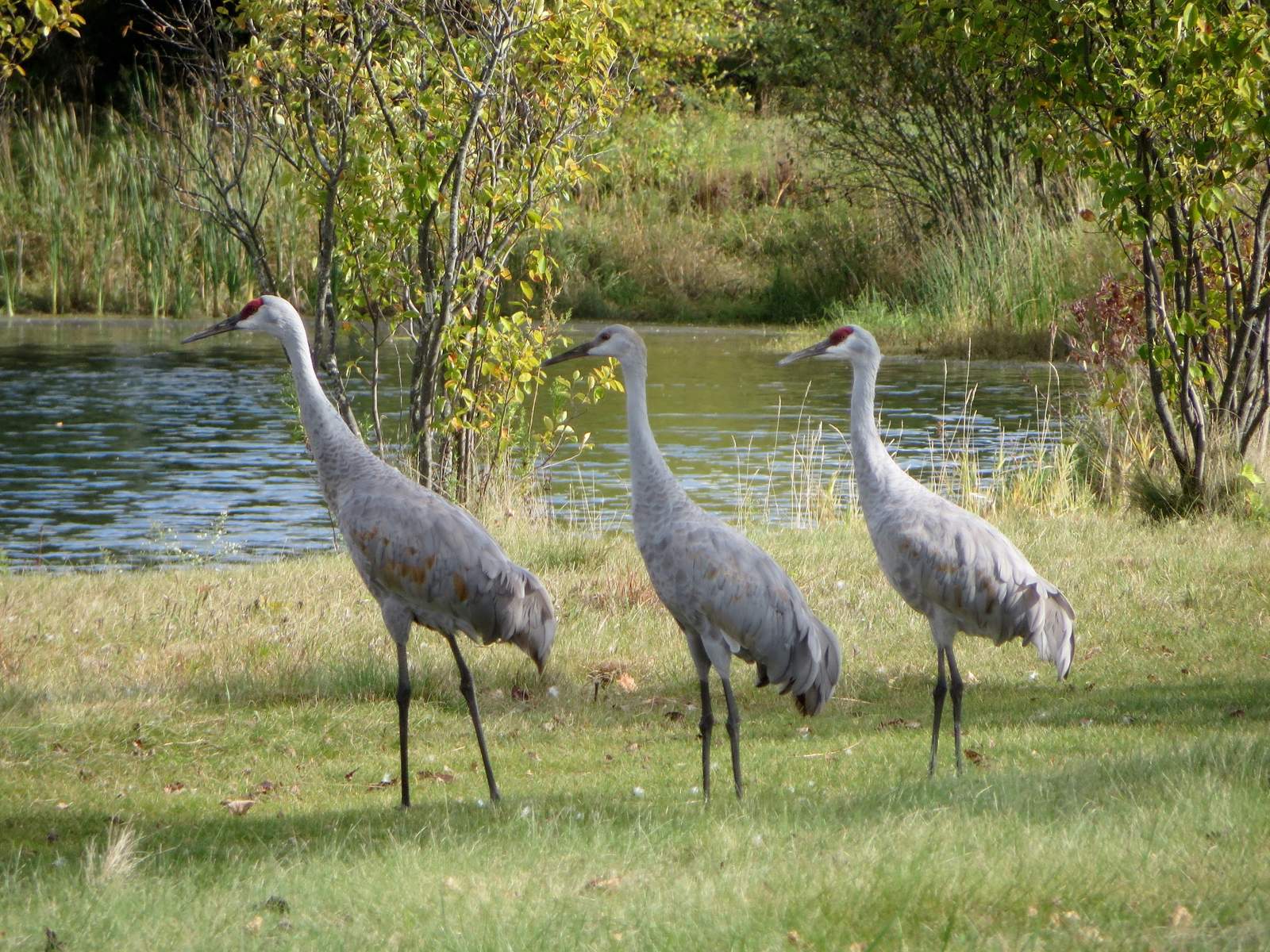 Washington County Family Park — photo 2