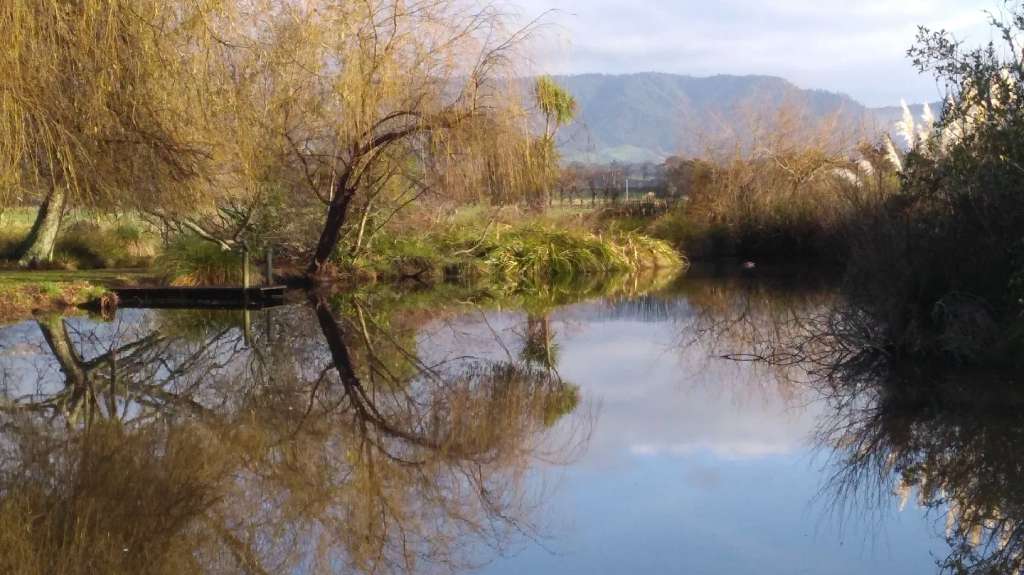 Katikati Bird Gardens