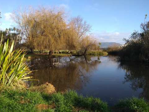 Katikati Bird Gardens — photo 2