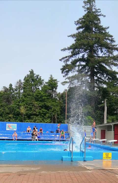 Greytown Swimming Pool — photo 2