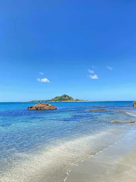 Island Bay Beach — photo 2