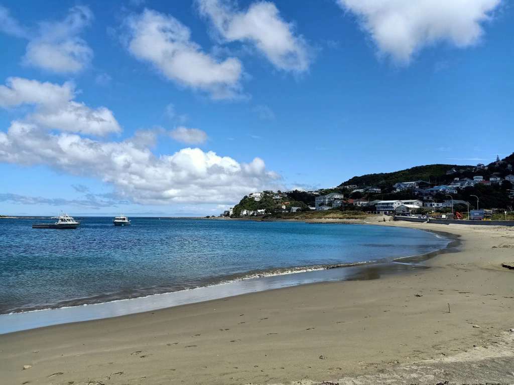 Island Bay Beach