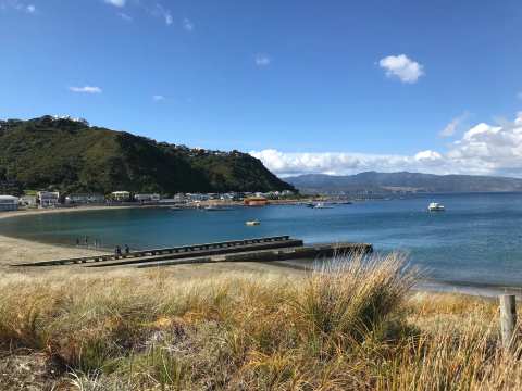 Island Bay Beach — photo 3