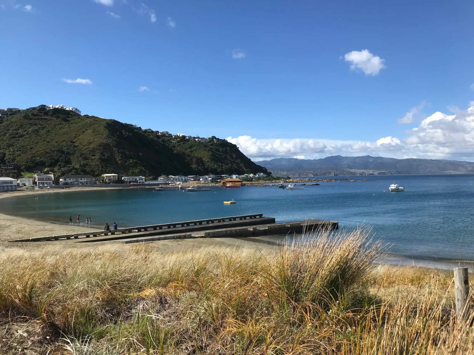 Island Bay Beach — photo 3