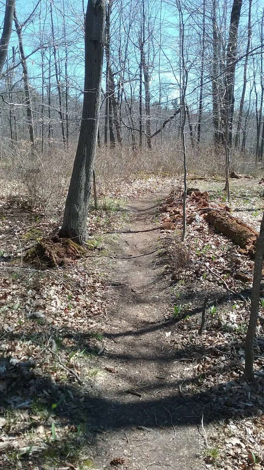 Balzer Wilderness Park