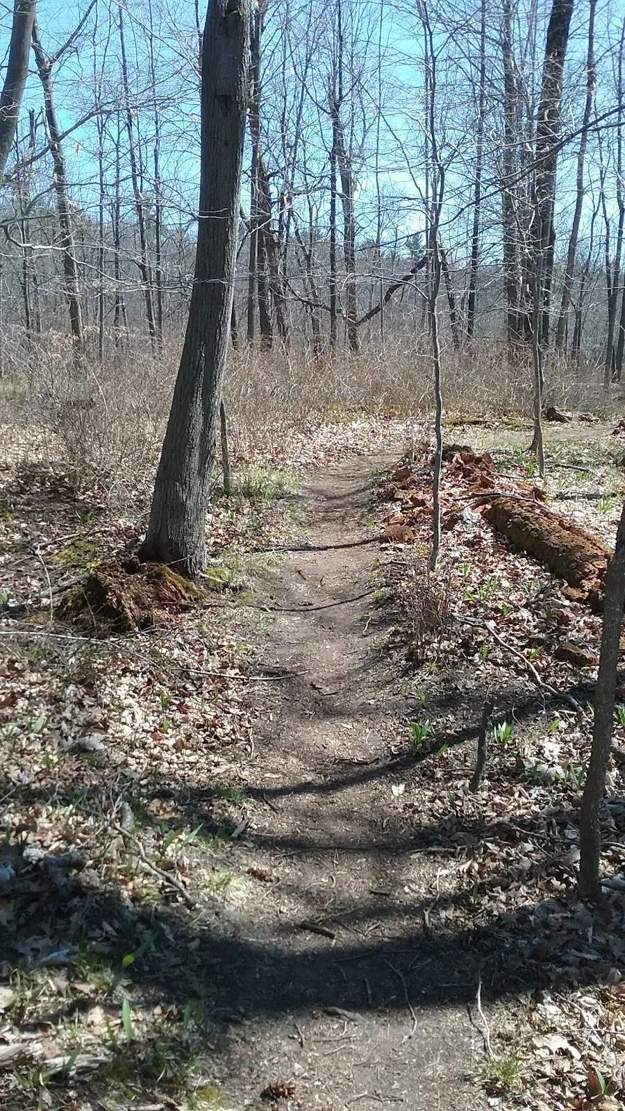 Balzer Wilderness Park — photo 1