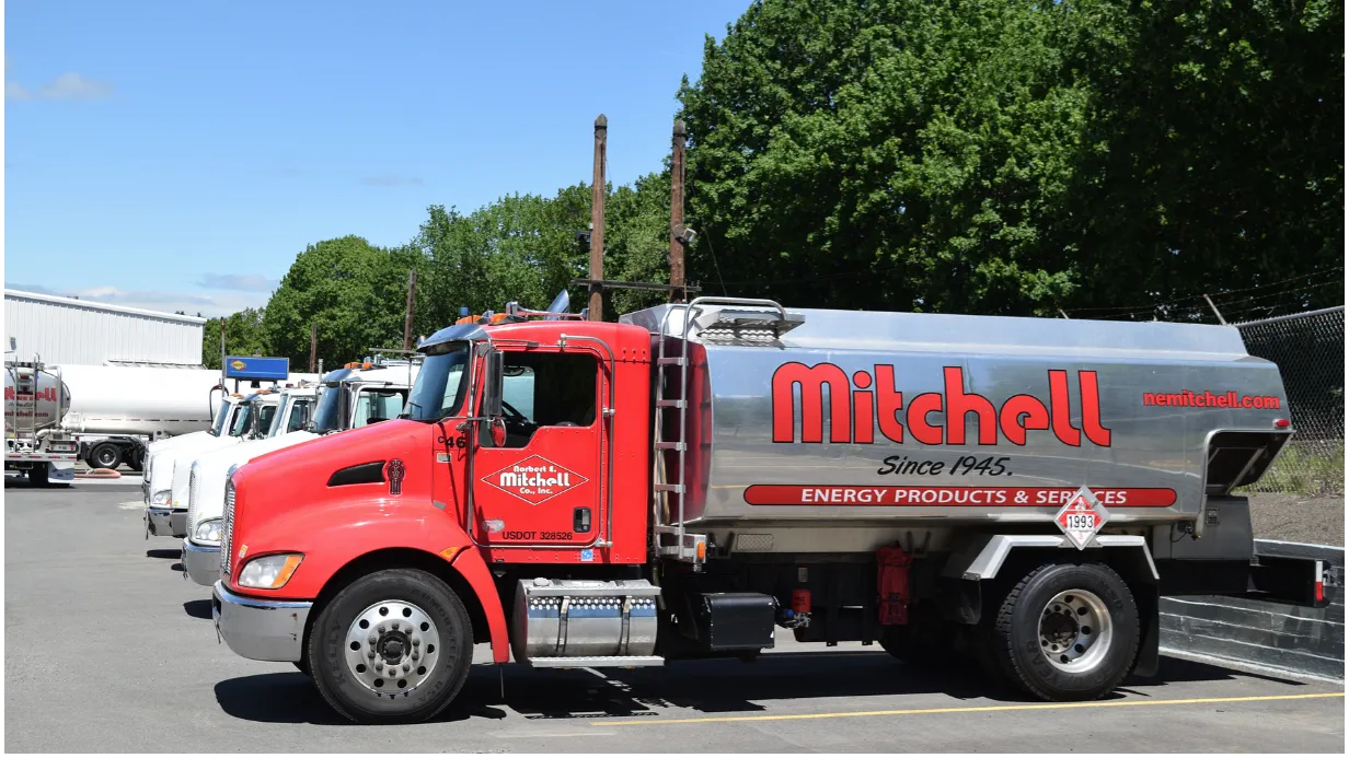 Mitchell — photo 1