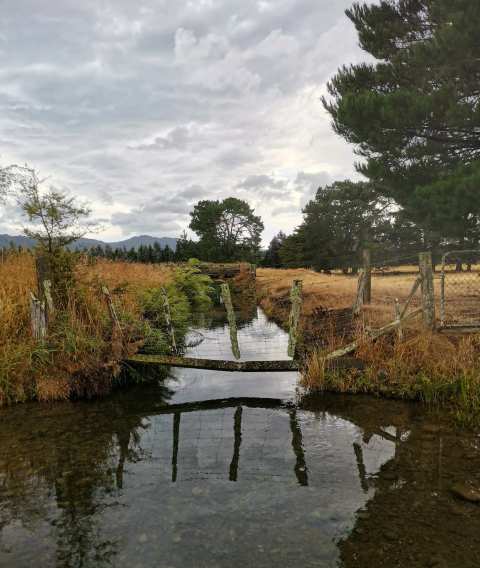Rail Trail Trailhead — photo 2