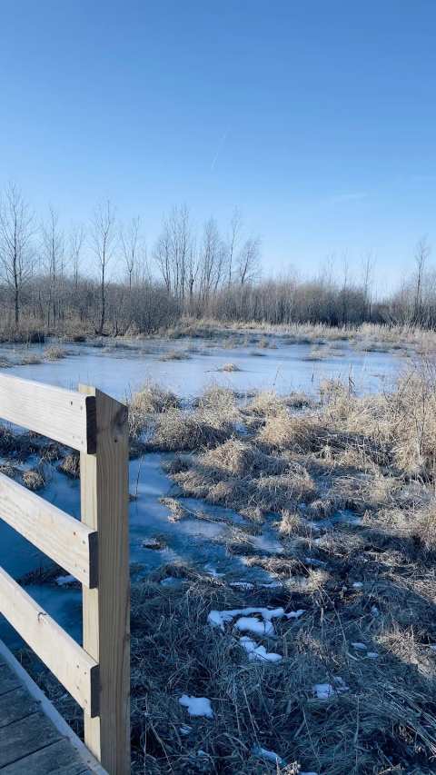 Mequon Nature Preserve Observation Tower — photo 3