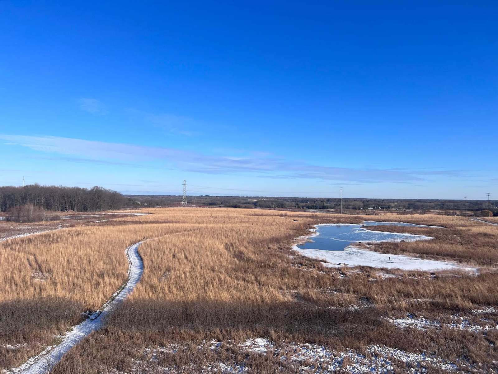 Mequon Nature Preserve Observation Tower — photo 1