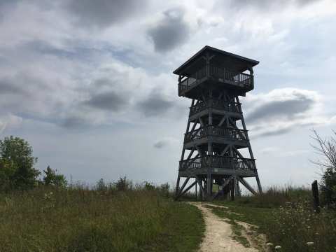 Mequon Nature Preserve Observation Tower — photo 2